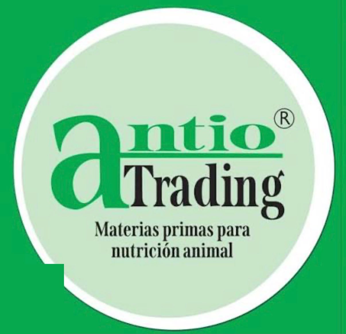 Antio Trading