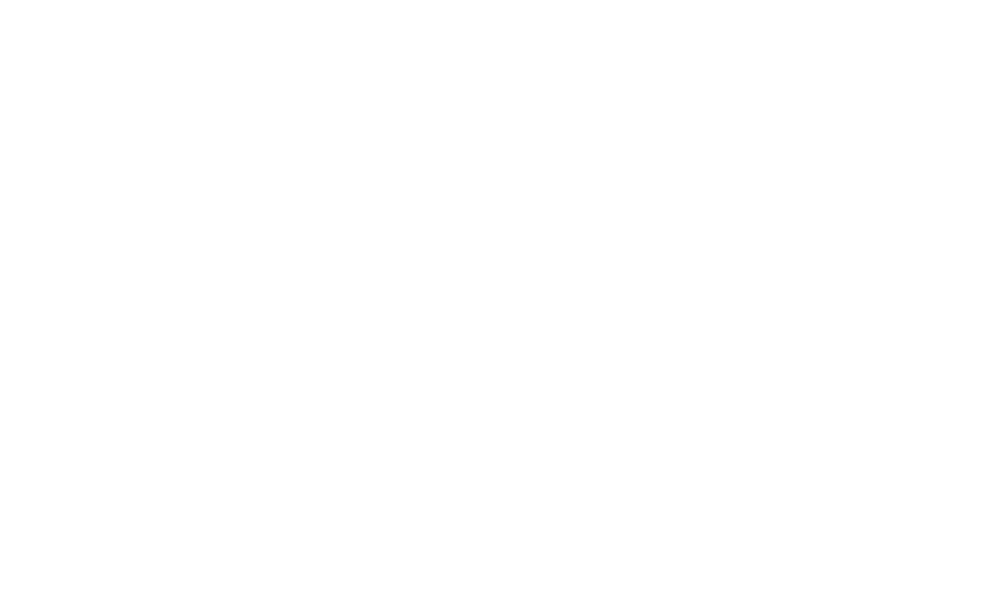 TL PORT S.A.S.